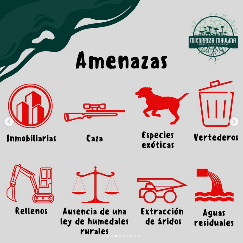 amenazas humedal