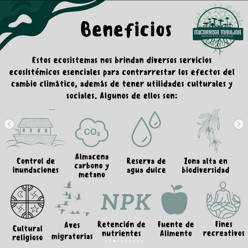 beneficios-humedales